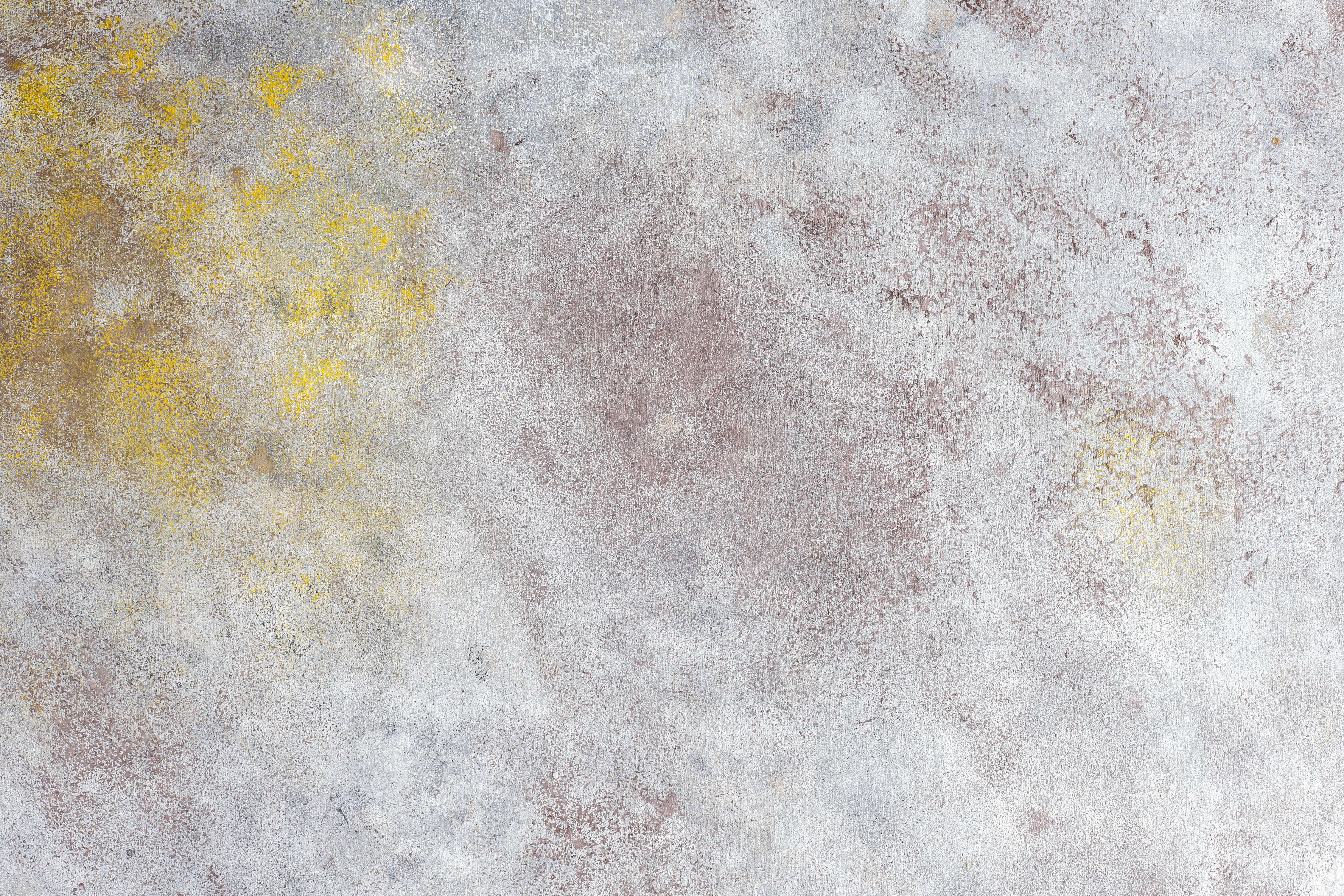 Somatic Experiencing Traumaarbeit Sophie Stachel Wien